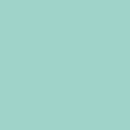 Light Turquoise - Quart