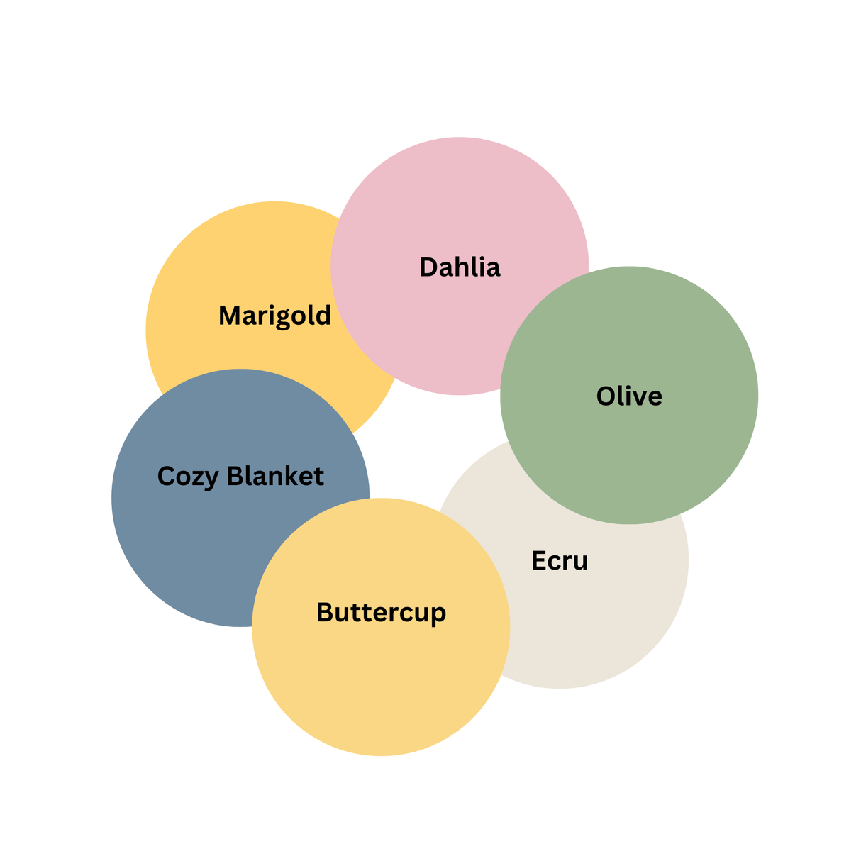 A Very Brede Sequel – Spring Collection | Shock Paint by Counter Culture DIY - Counter Culture DIY