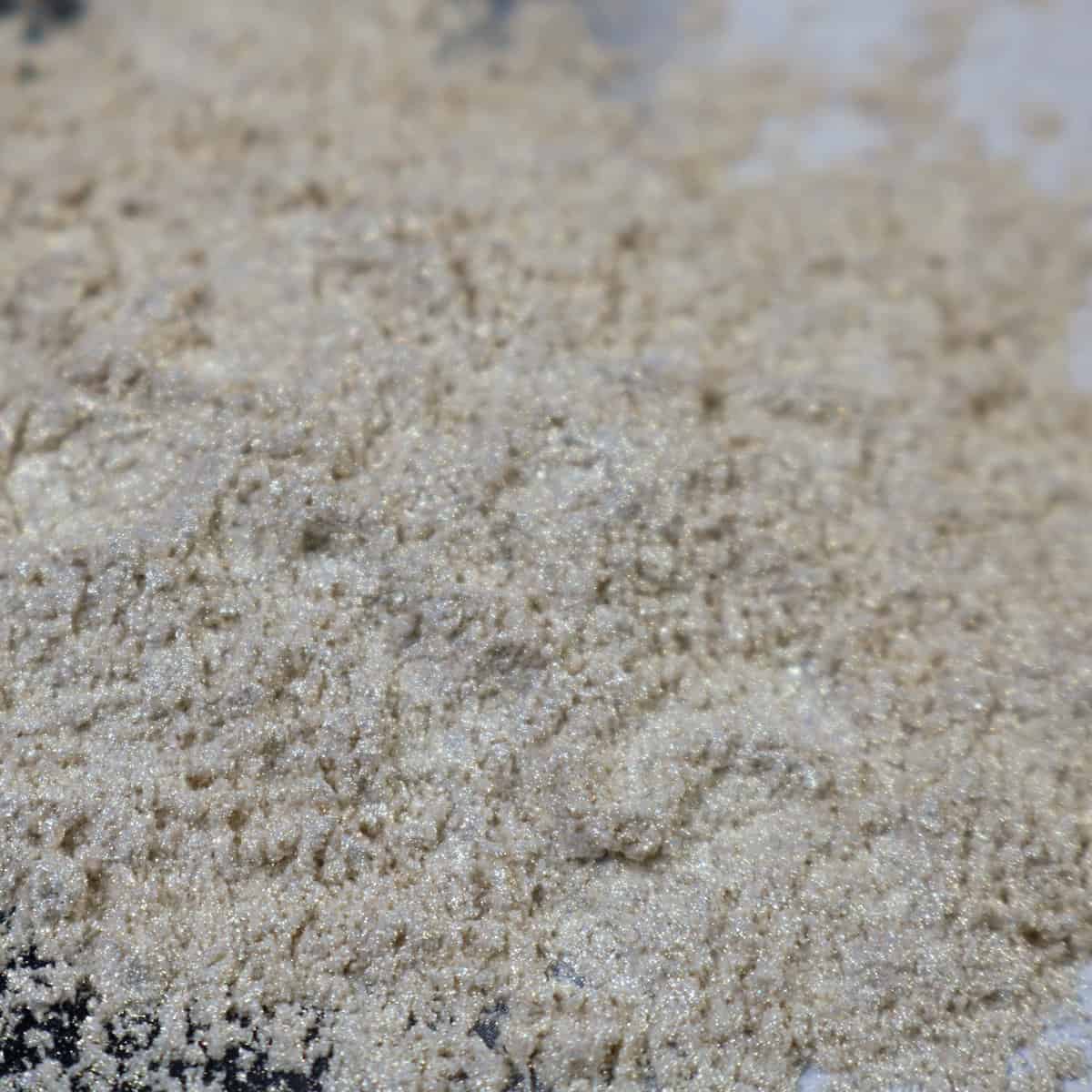 Angel Wing - Counter Culture DIY