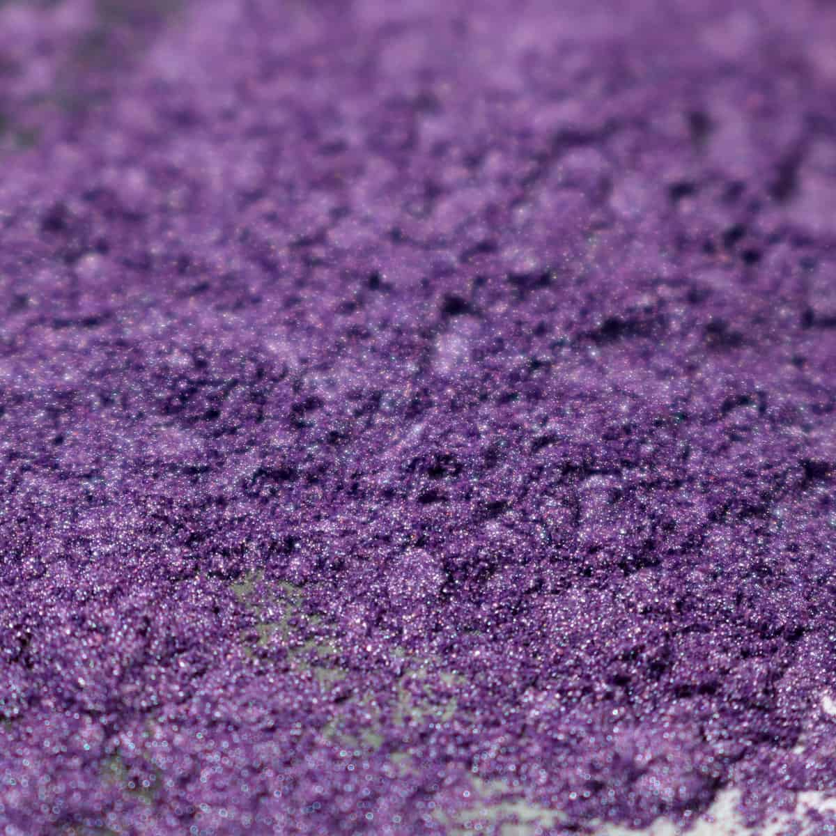 Plum Purply - Counter Culture DIY