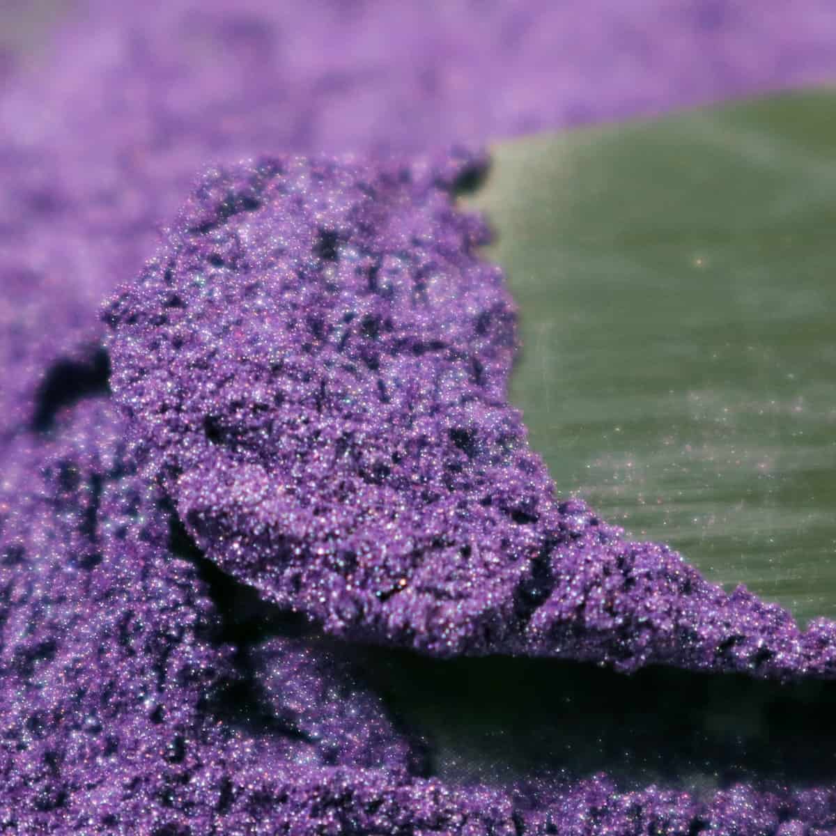 Plum Purply - Counter Culture DIY